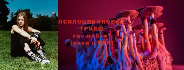 кокаин Богданович