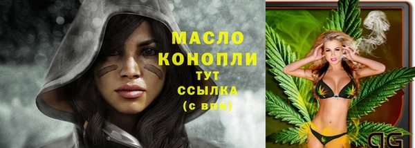 гидра Тайга